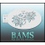 bam_4017