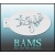bam_h02_low