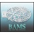 bam_h03_low
