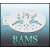 bam_h04_low