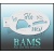 bam_h05_low