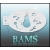 bam_h09_low