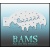 bam_h10_low