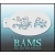 bam_h12_low