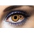 lentilles-momie-halloween-fashio
