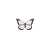 papillon-nocturne-x5