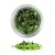 pxp_glitter_tropical_green