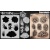 series_7_180_succulents_1024x102