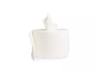 139-gsb4___clean_doekjes__1563934812
