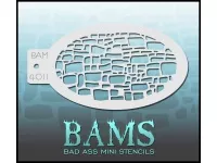 bam_4011