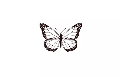 papillon-nocturne-x5