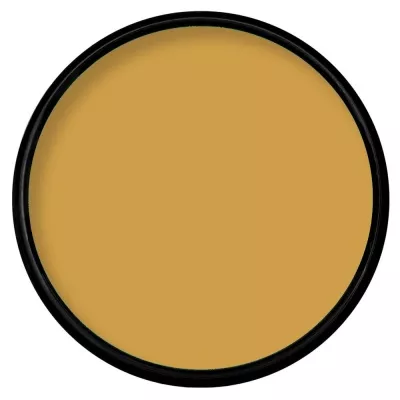 Paradise Makeup AQ - Dijon