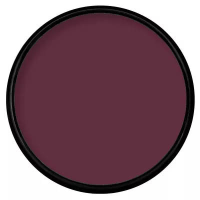 Paradise Makeup AQ - Wild Orchid