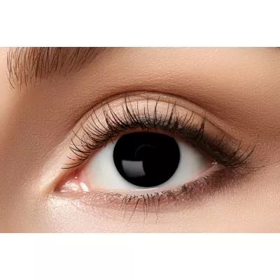 ZOELIBAT - Black Witch - 3 mois