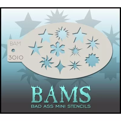 BAM 3010