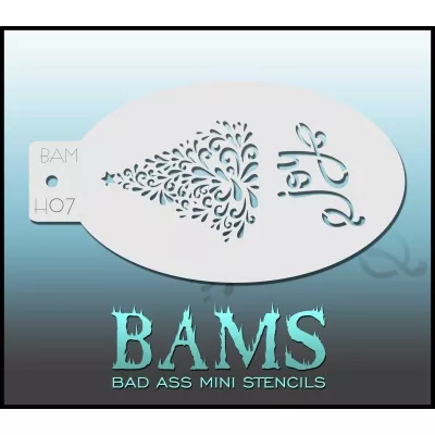 BAM H07