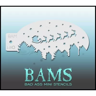 BAM H10