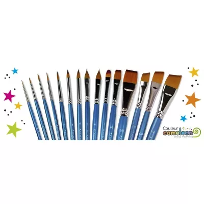 Kit complet de pinceaux