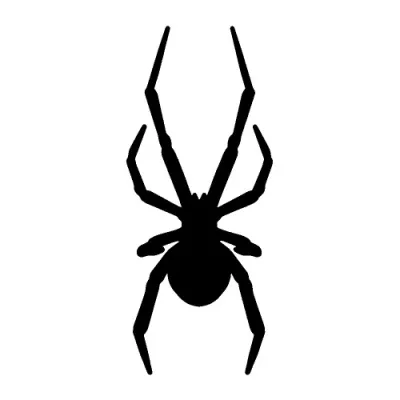 162 - Black Widow Spider