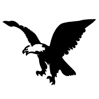 200 - Sea Eagle