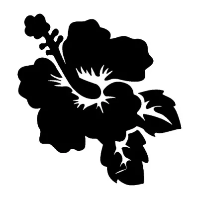 216 - Hibiscus