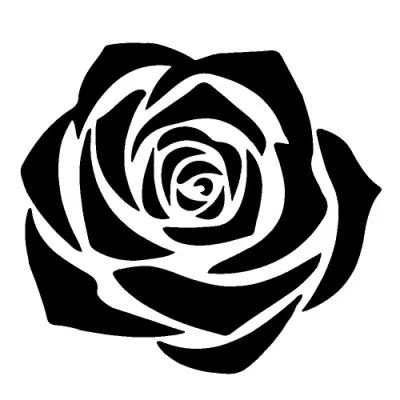 308 - Rose