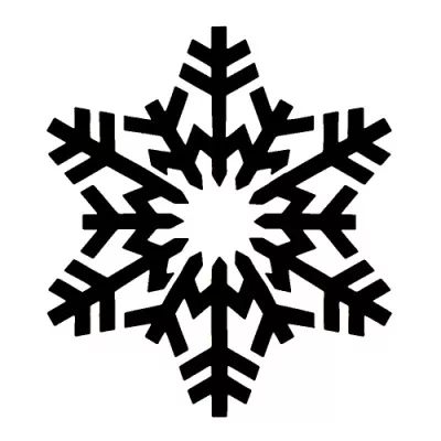 549 - Snowflake