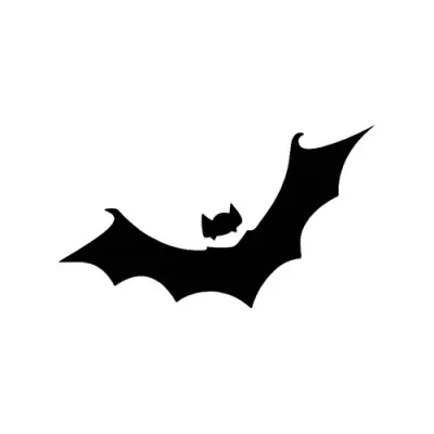 CH8400 - Bat