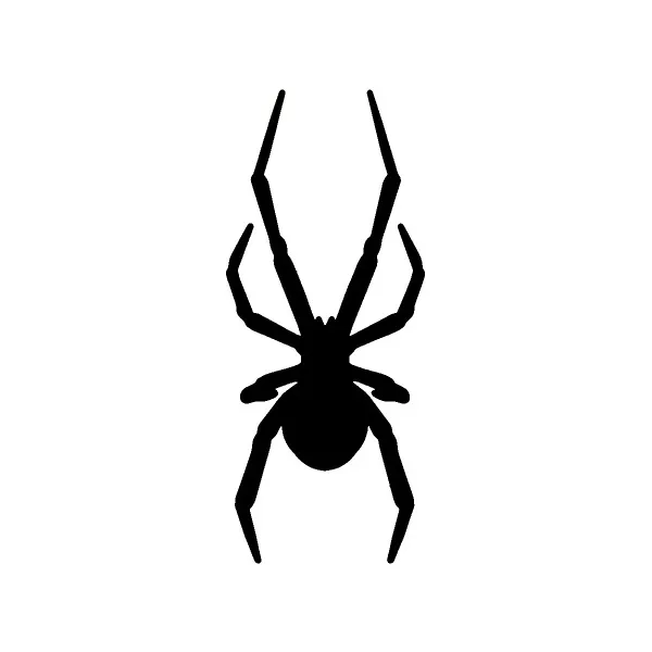 gsb17-s162_black_widow_spider